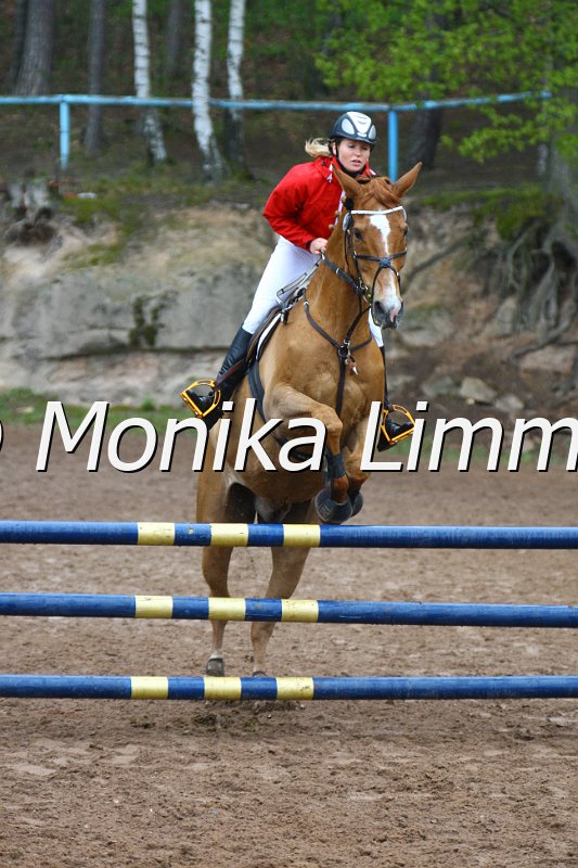 005L4266_Rubber Duck_Spring A_R-IQ Cup.JPG